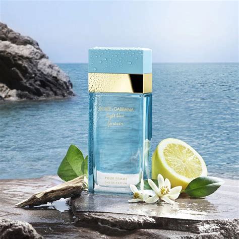 dolce gabbana forever woman|dolce gabbana light blue forever.